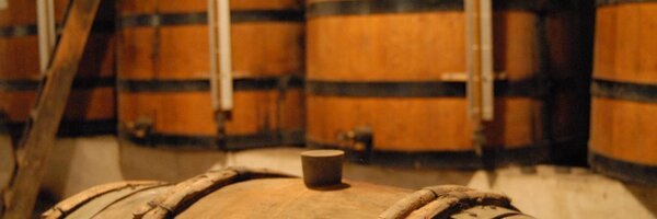 GrapeGrain Profile Banner