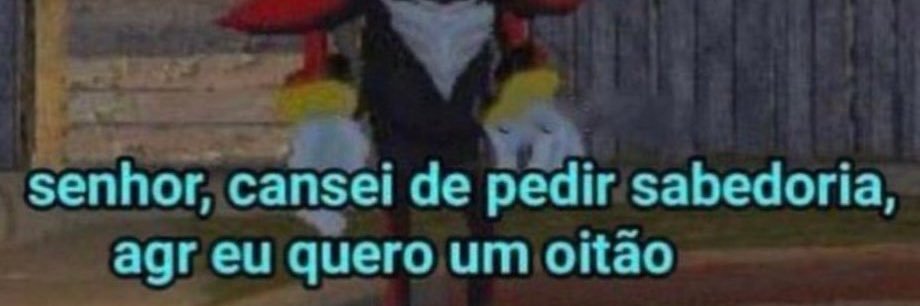 bellinha banner