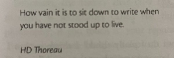 _rosark Profile Banner