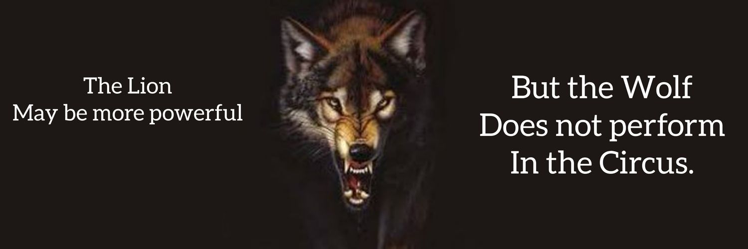 yawar_z's profile banner image