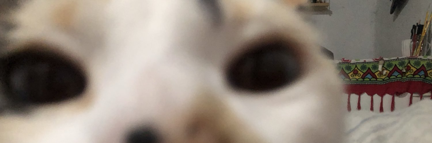zbierat's profile banner image