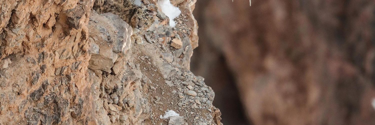 BettaBusiness's profile banner image