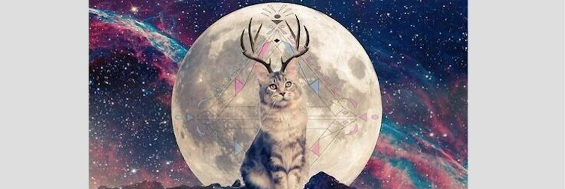 shouldabeengwen banner