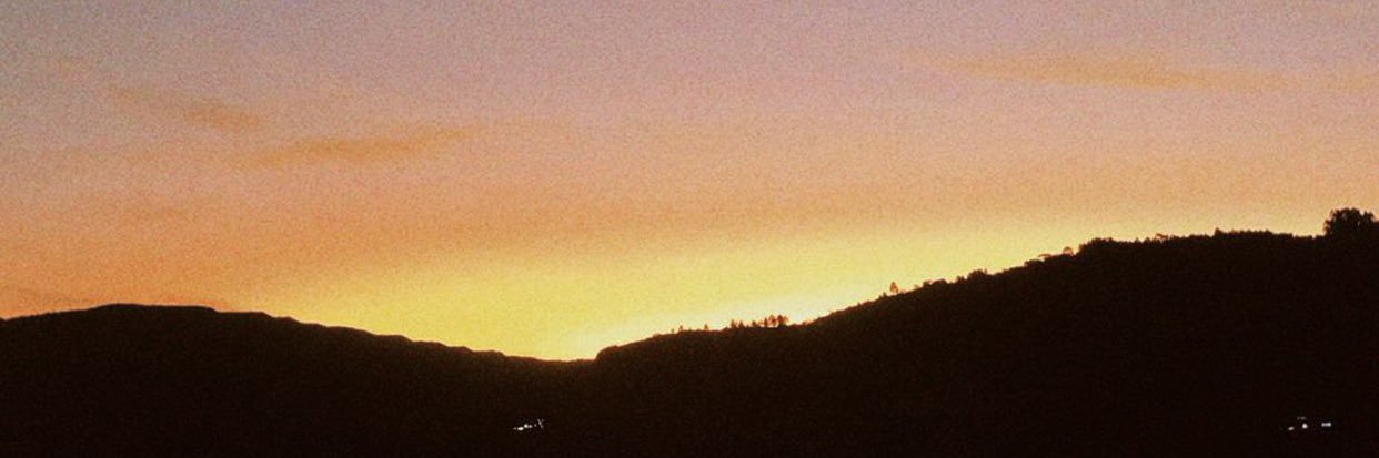 carollmariam's profile banner image