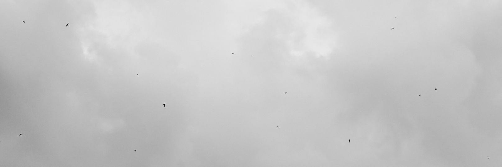 Satoto Nakamoshi banner