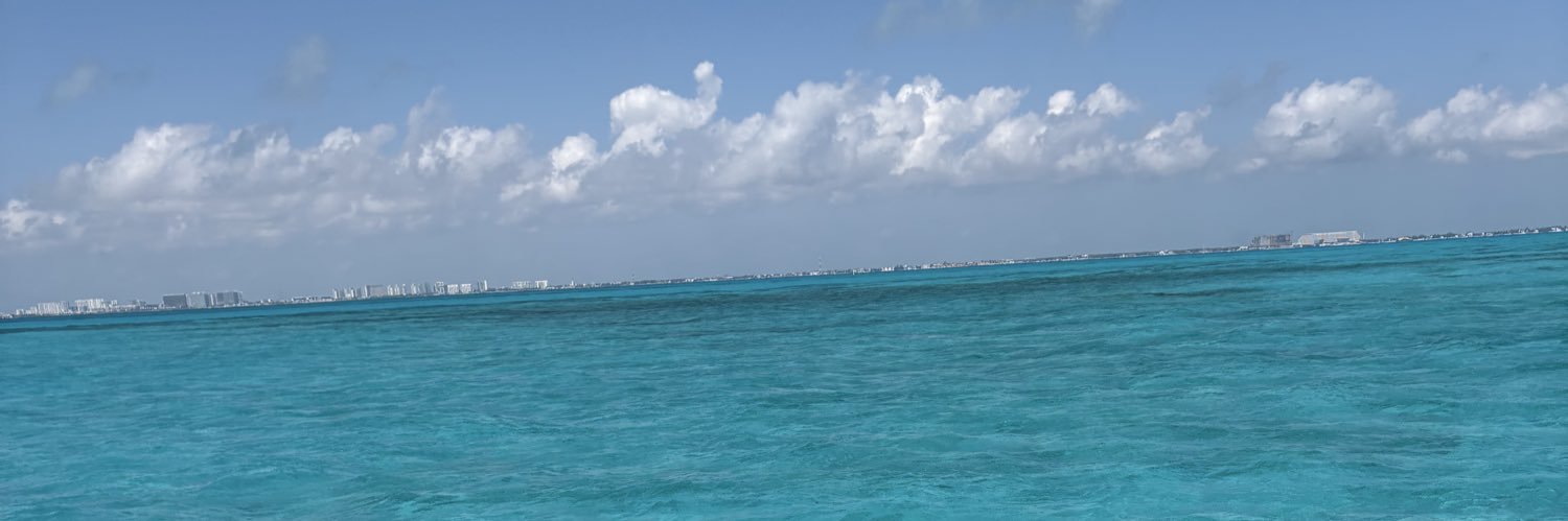 🌸 Foquitawa 🦭 banner