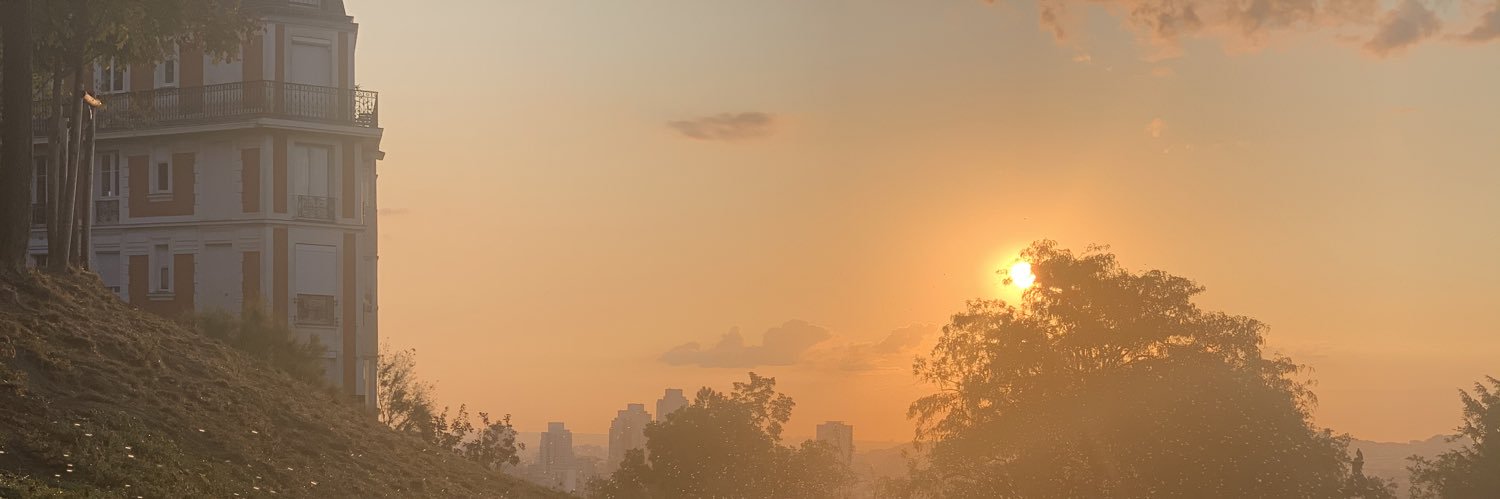 damien didelot banner