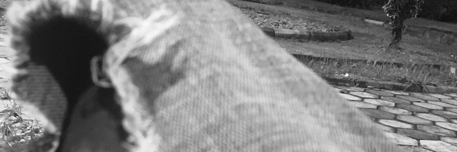 sage_sn's profile banner image