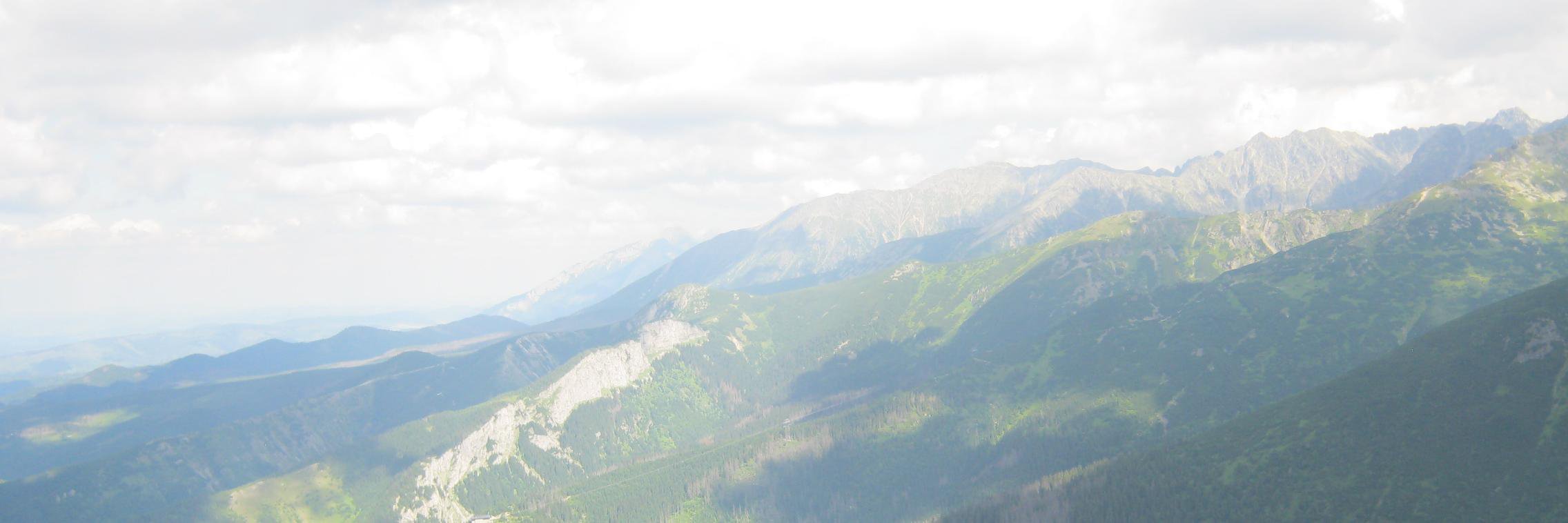 VeryHappyLouu's profile banner image