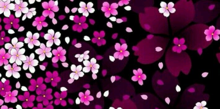 LarissaMQ's profile banner image