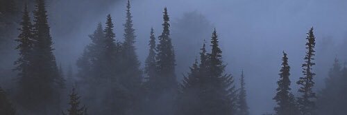 BasBoelh's profile banner image
