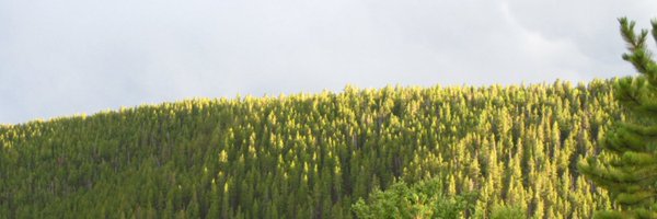 okcmako Profile Banner
