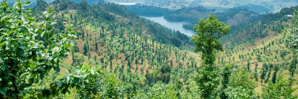 IucnRwanda Profile Banner