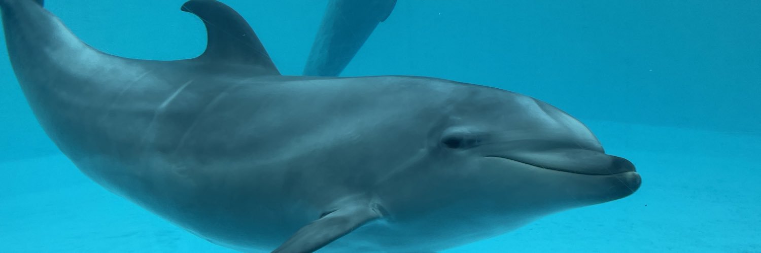 💙あーくん🌸🥔 banner