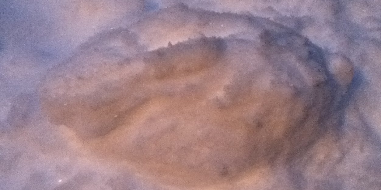 あれこれそれどれ？ banner