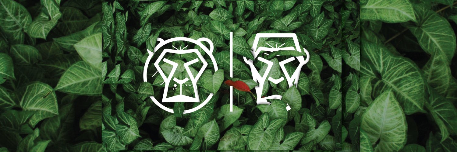 OutspokenZW banner