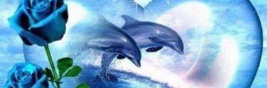 stephywils14's profile banner image