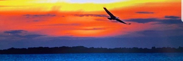 Alanredick1 Profile Banner