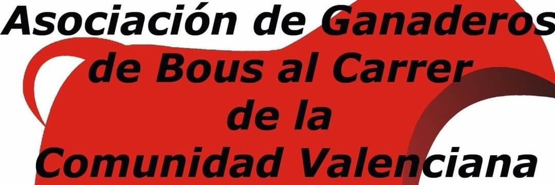 A. G. BOUSALCARRER. C. V banner