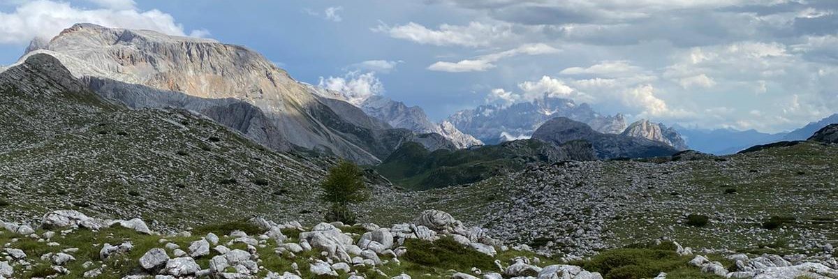 Giulia Zampirolo's banner