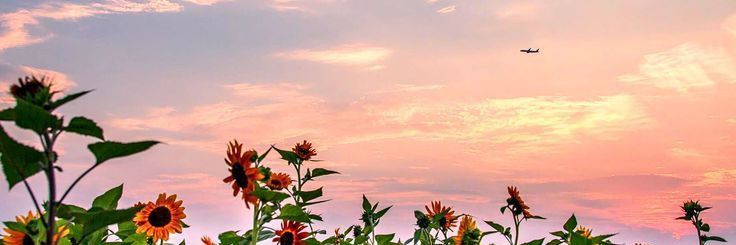 luckqxm's profile banner image