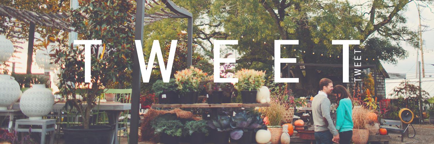 ericamayc's profile banner image