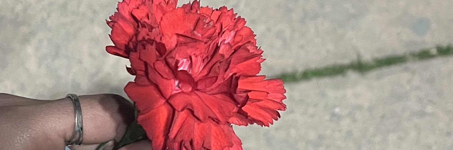 caglaca1's profile banner image