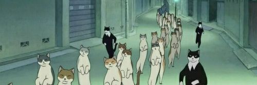 aphrodititties's profile banner image