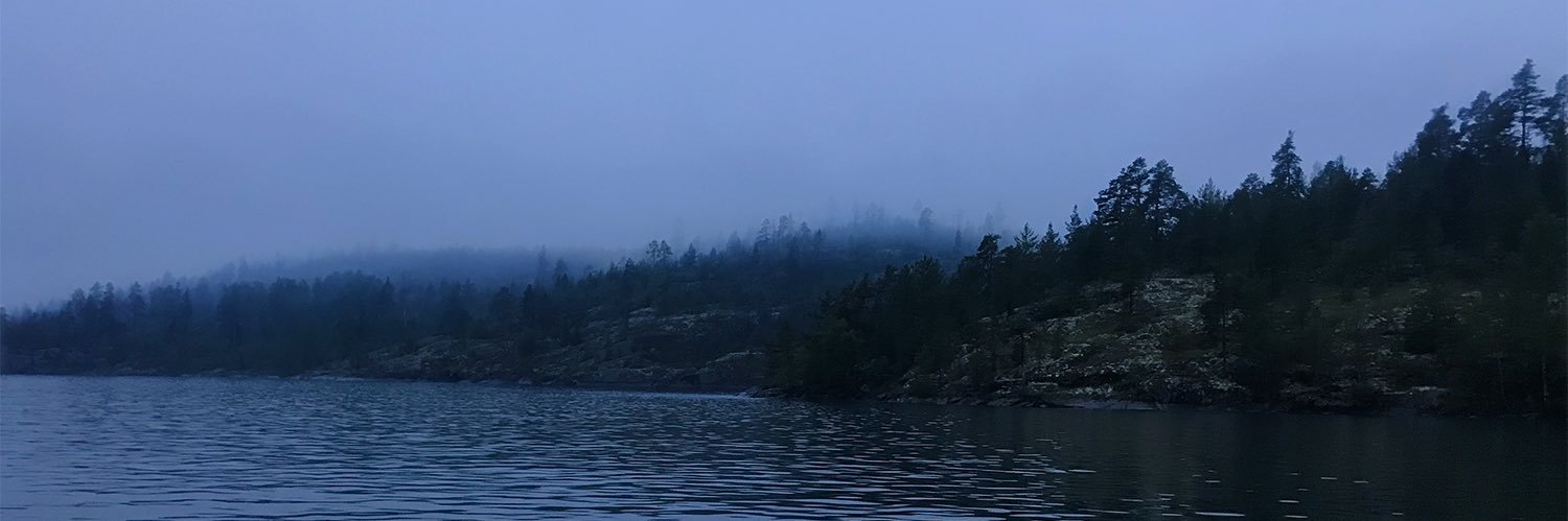 Denis Skvortcov banner