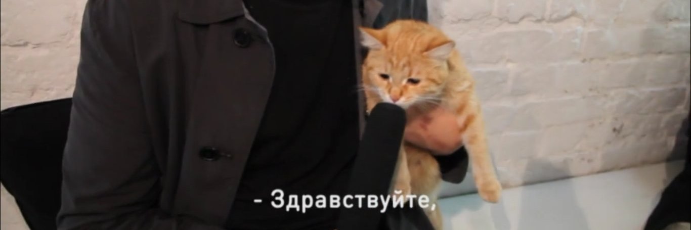 deadmichaeldead's profile banner image