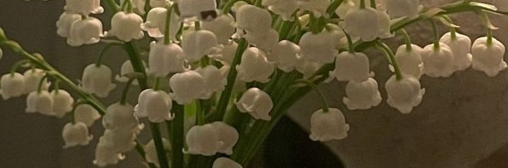 𝓠𝓾𝓮𝓮𝓷 𝓑🍒 banner