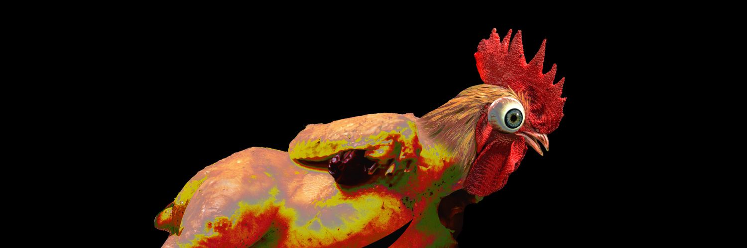 HumNyaWe 👁 흠냐웨 banner