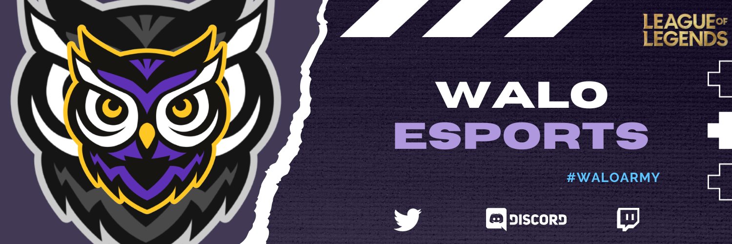 WALO ESPORTS banner