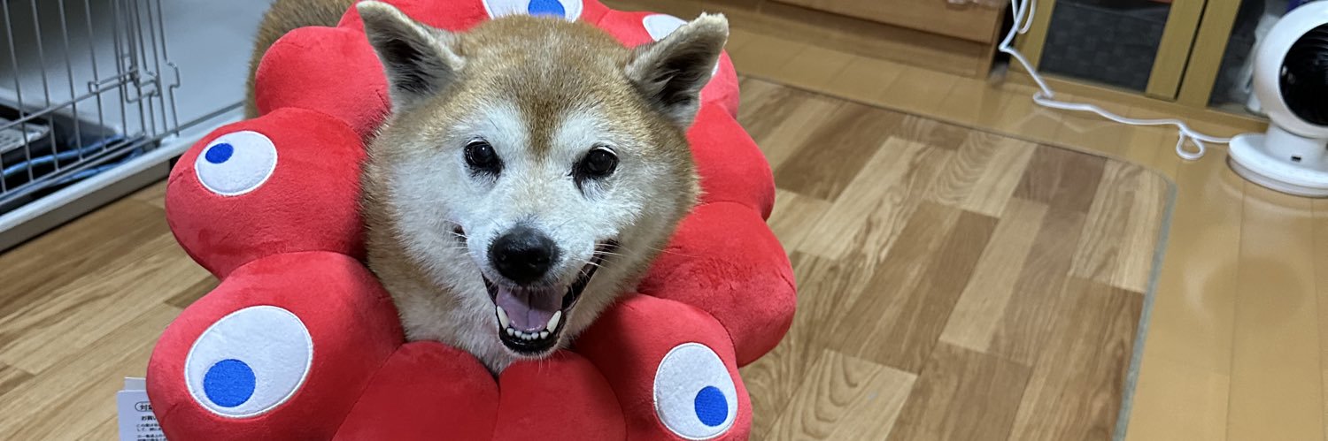 rikosan7's profile banner image