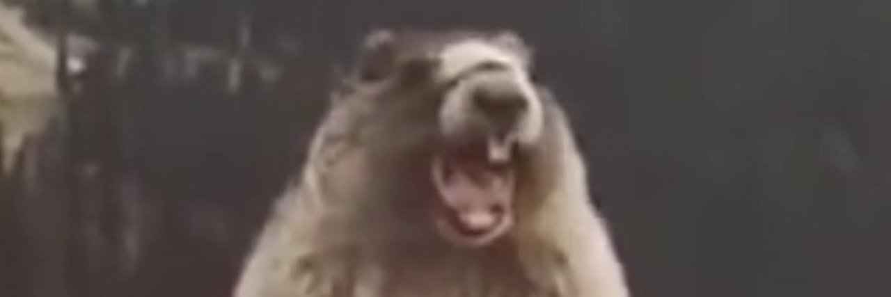 M4ZI_MANZ1's profile banner image