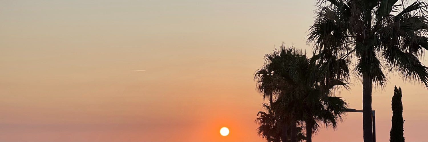 udovyrma's profile banner image