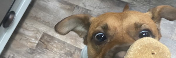 EmilyLubin_ Profile Banner