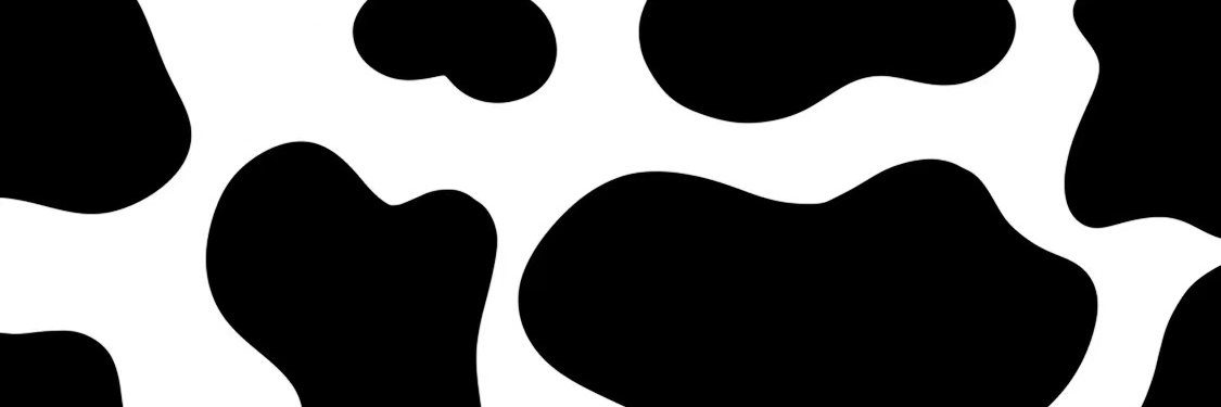 Isadora_Romano's profile banner image