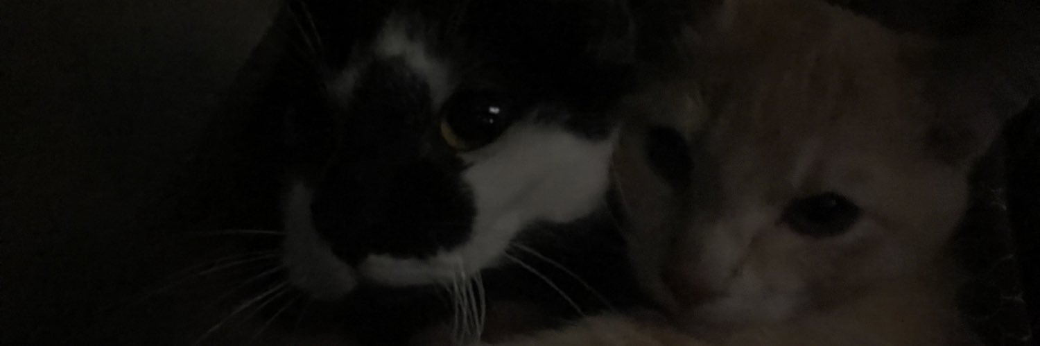lupeeix's profile banner image