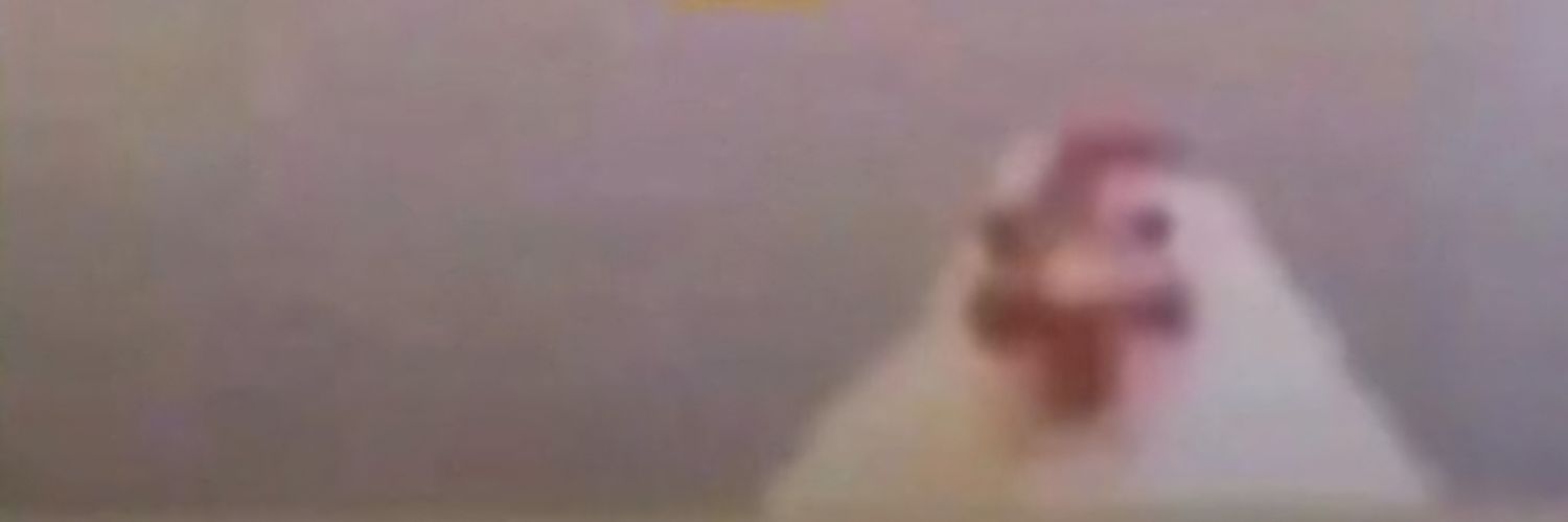 POLLO banner
