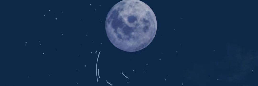 MrsAlexandre's profile banner image