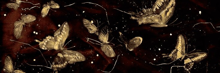 aegonwives's profile banner image