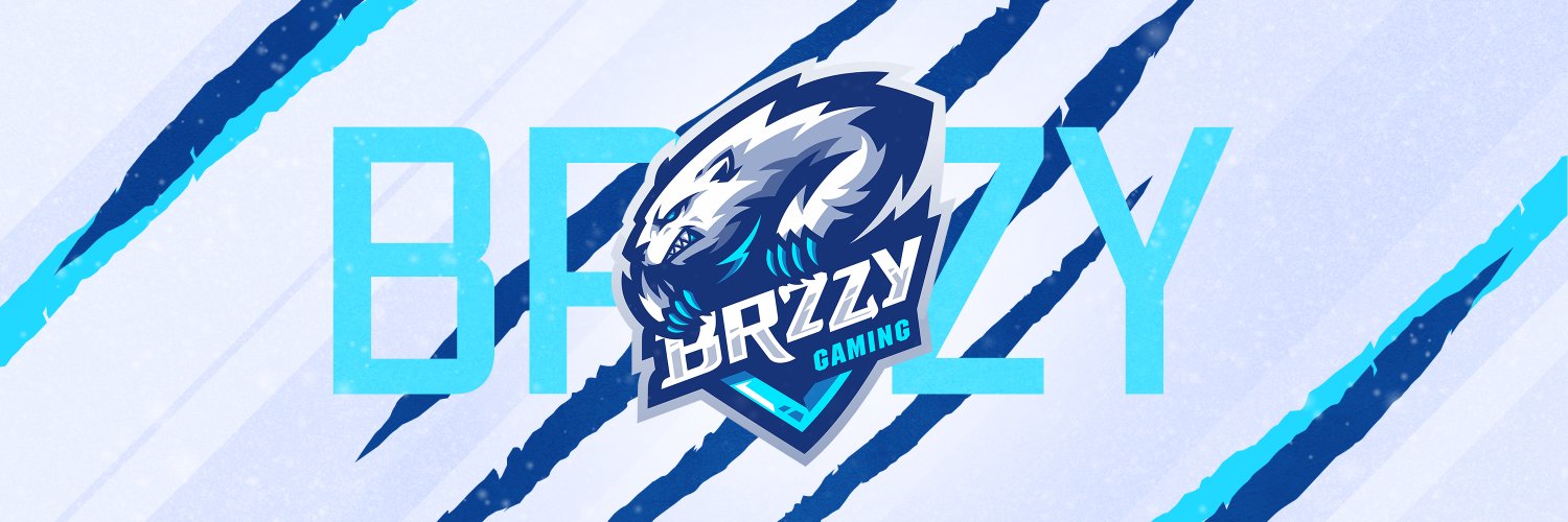 brzzygaming banner