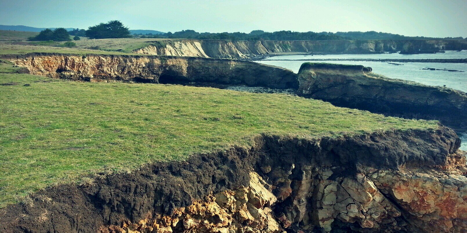 Will Landecker banner