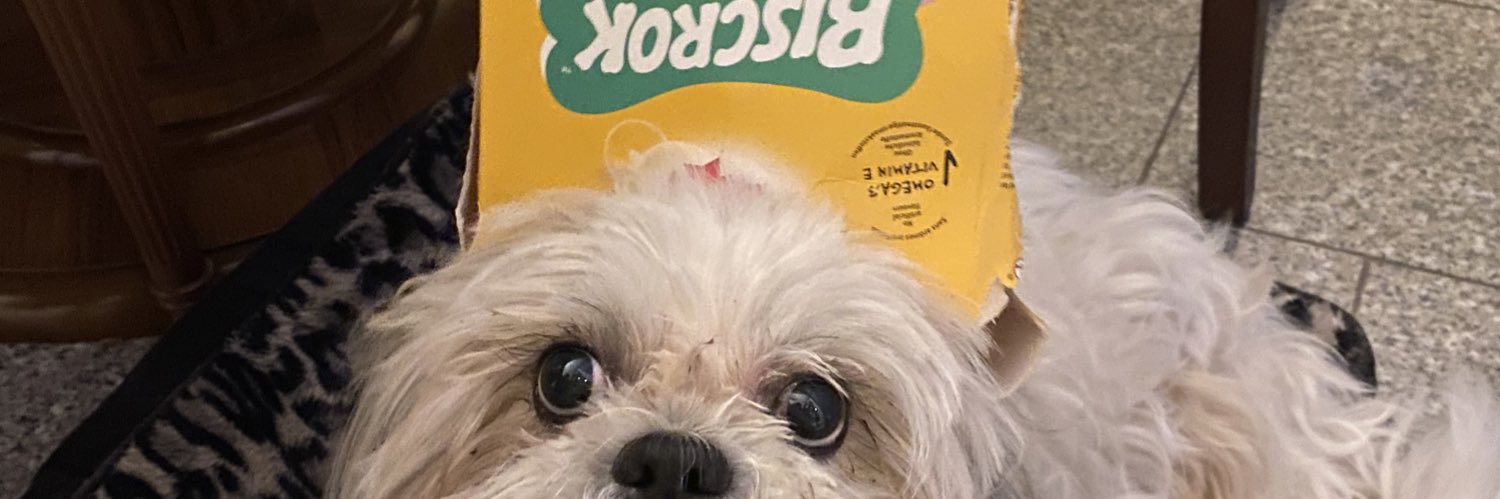 caramelclau's profile banner image