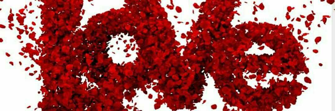 FlorHCamejo's profile banner image