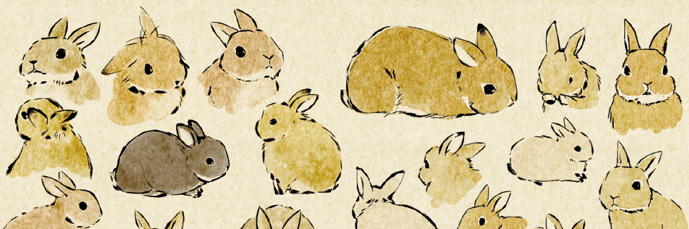 大賀一五🐰ラビとびら's banner