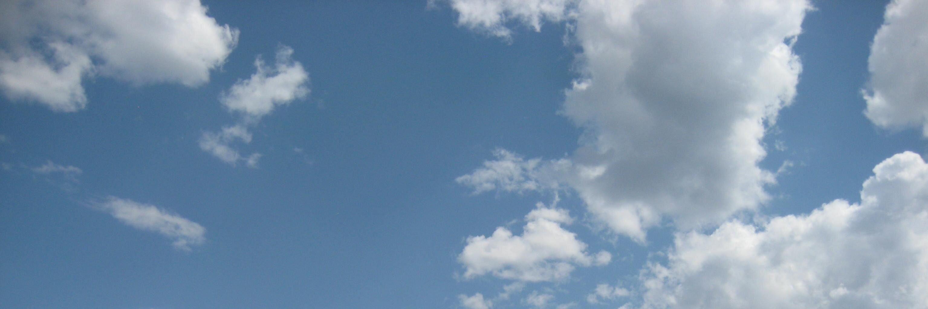 iguanaverdeazul's profile banner image