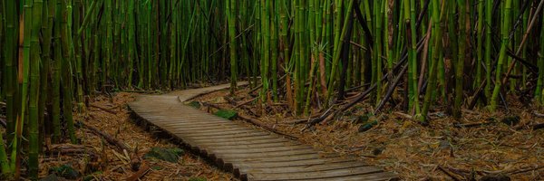 getpandaai Profile Banner