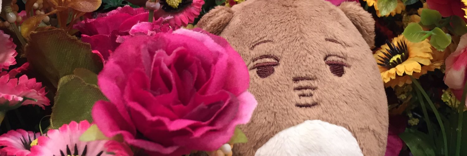 asukamaris's profile banner image